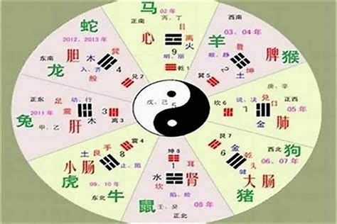 小五行|五行属性查询表：小字五行属什么